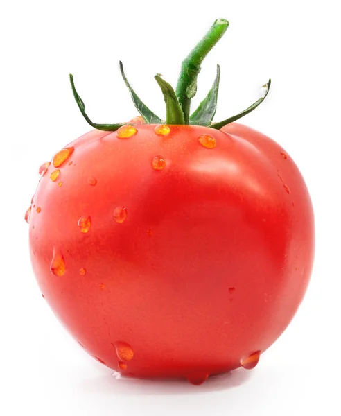 Tomat med vattendroppar — Stockfoto