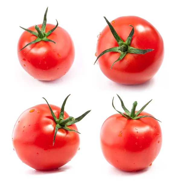 Collection of tomatoes with water drops Royalty Free Stock Photos