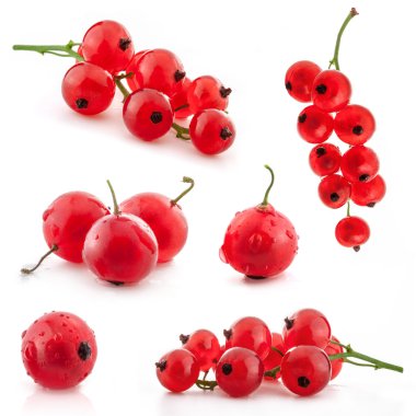 Collection of Red currant clipart