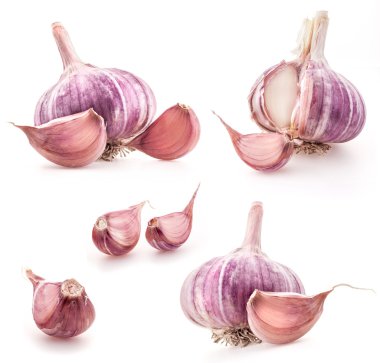 Collection of Garlic clove clipart