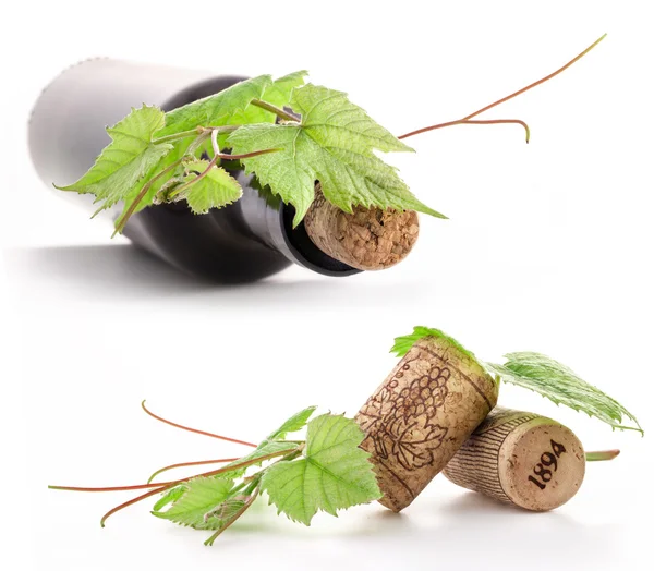 Botella de vino, corcho y hojas de la vid . —  Fotos de Stock
