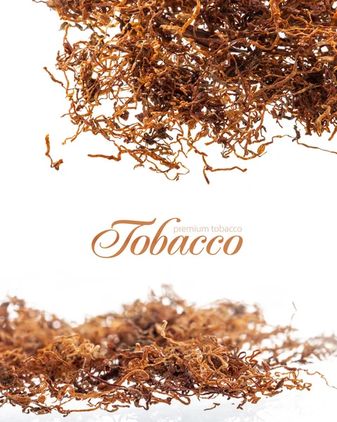 Prémiové tabák — Stock fotografie