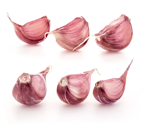 Collection of Garlic clove — Stock Photo, Image