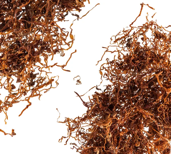 Tabacchi arrotolati premium — Foto Stock