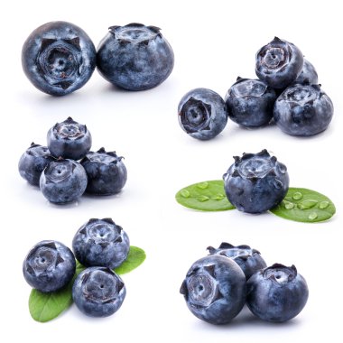 Collection of Blueberries clipart