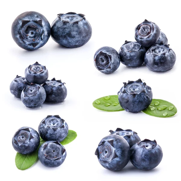 Samling av blåbär — Stockfoto