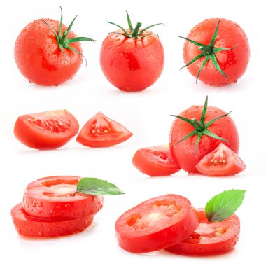 Collection of tomatoes with water drops clipart