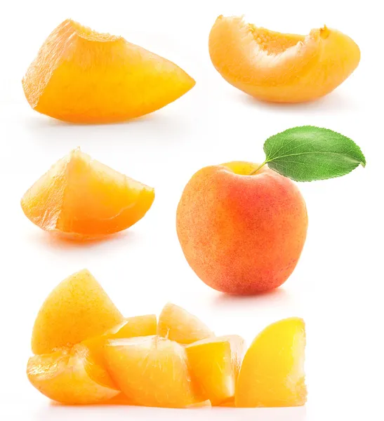Kolekce řez meruňky — Stock fotografie
