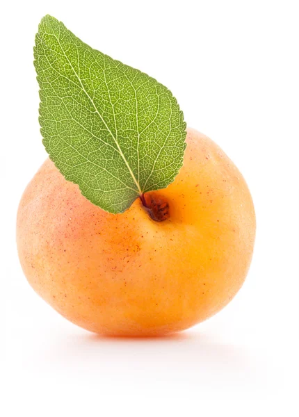 Abrikoos vruchten — Stockfoto