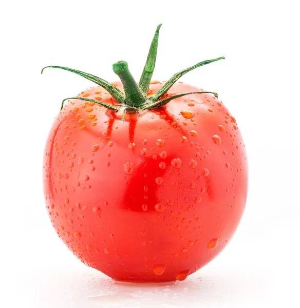 Tomate avec gouttes d'eau — Photo