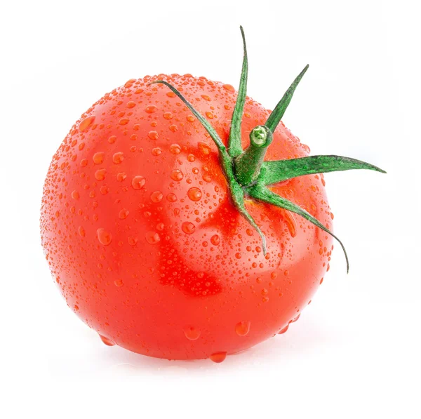 Su damlaları ile domates — Stok fotoğraf