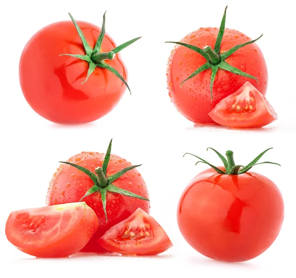 Collecte de tomates avec gouttes d'eau — Photo