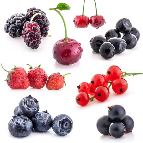Collection of berry — Stock Photo, Image