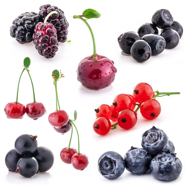 Samling av berry — Stockfoto