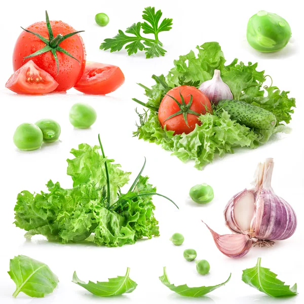 Insamling av grönsaker — Stockfoto