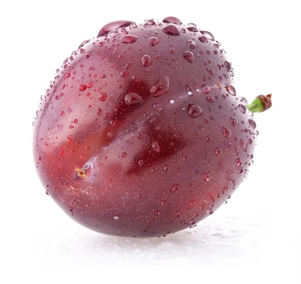 Plum with water drops — Stock Photo, Image