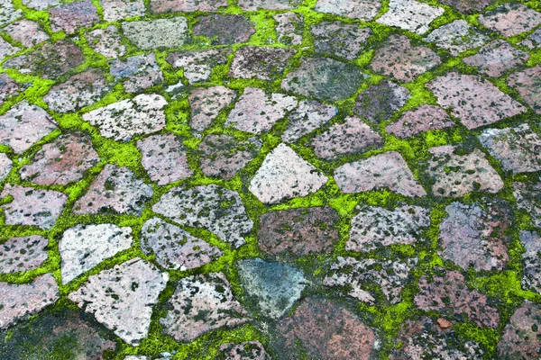 stock image Paving with moss