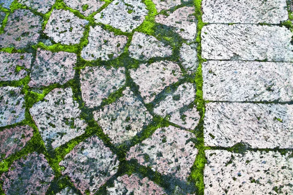 stock image Paving with moss