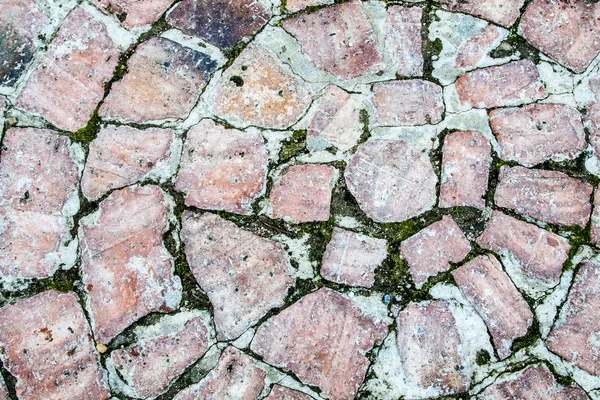 stock image Paving with moss