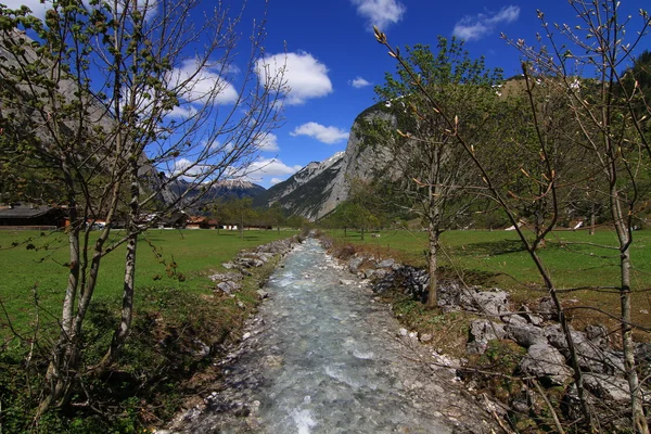 Alpi - Engtal — Foto Stock