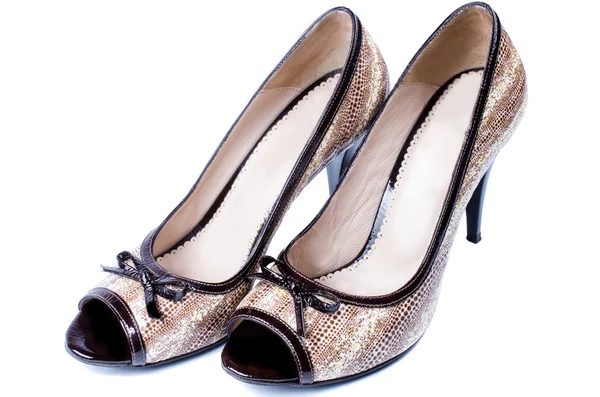 Par elegante mulheres marrons sapatos — Fotografia de Stock