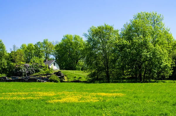 Casa branca no prado verde — Fotografia de Stock