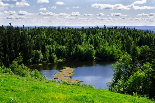 Озеро в весеннем лесу — стоковое фото