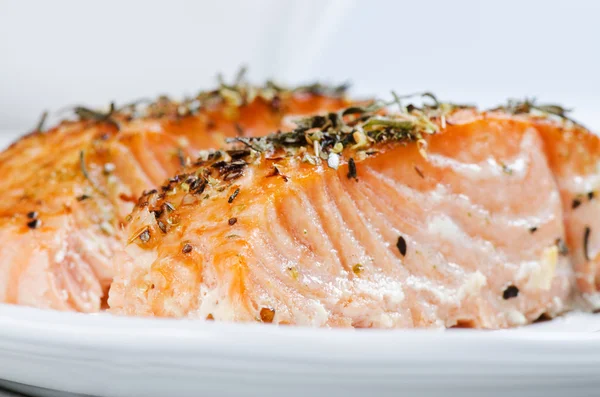 Chiudere bistecche di salmone alla griglia — Foto Stock