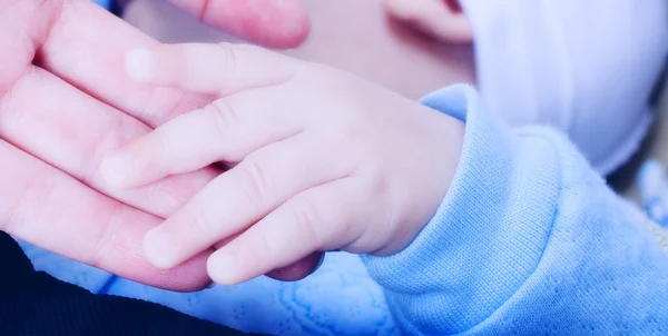 stock image Four month baby hand