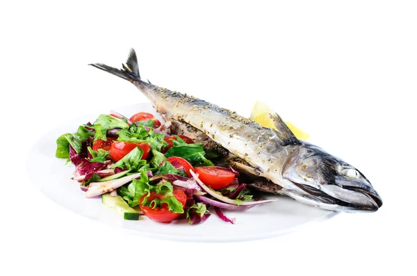 Pesce sgombro alla griglia con insalata di verdure — Foto Stock