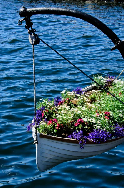 Boot vol met bloemen — Stockfoto