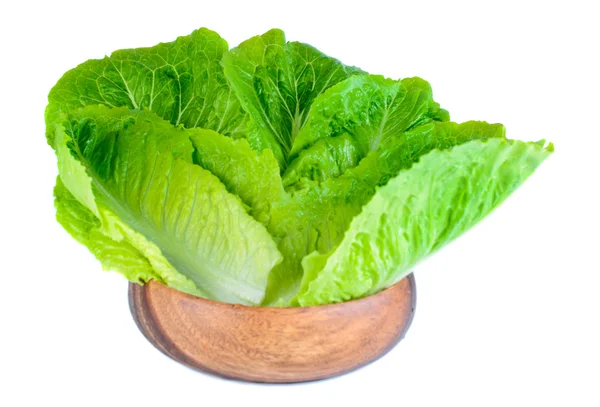 Roman lettuce leaves — Stock Photo, Image