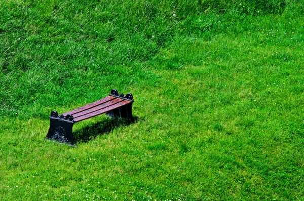 緑の芝生のベンチ — ストック写真