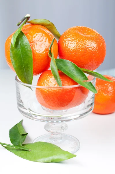 Mandarinas en un jarrón sobre fondo gris — Foto de Stock