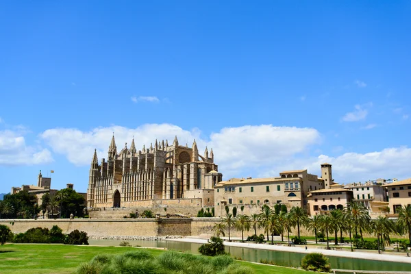 Palma cathedral wide Royalty Free Stock Images