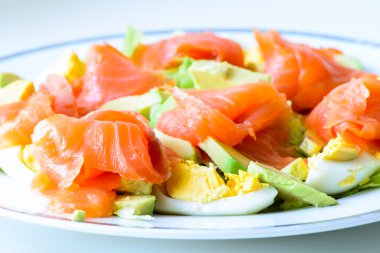 Salmon salad clipart