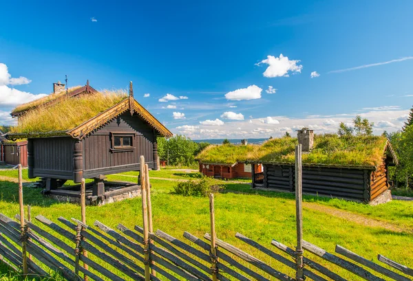 草の屋根の国の家 — ストック写真