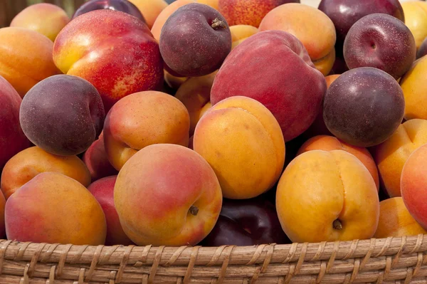 Hromadu barevných letní ovoce. — Stock fotografie