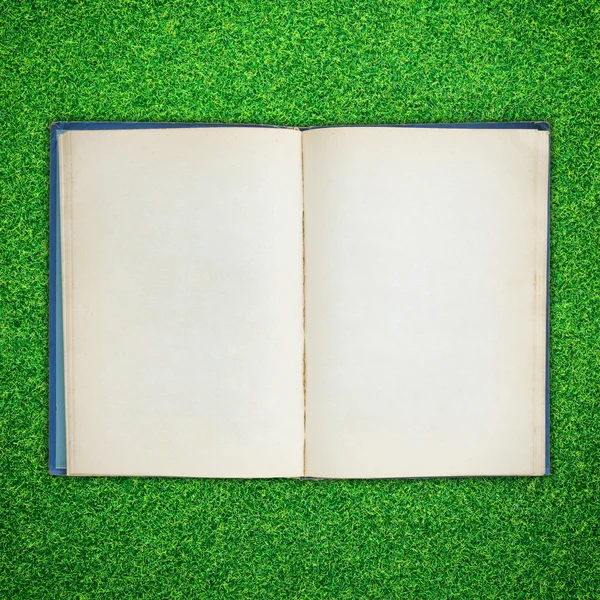 Oud boek open op groen gras achtergrond — Stockfoto