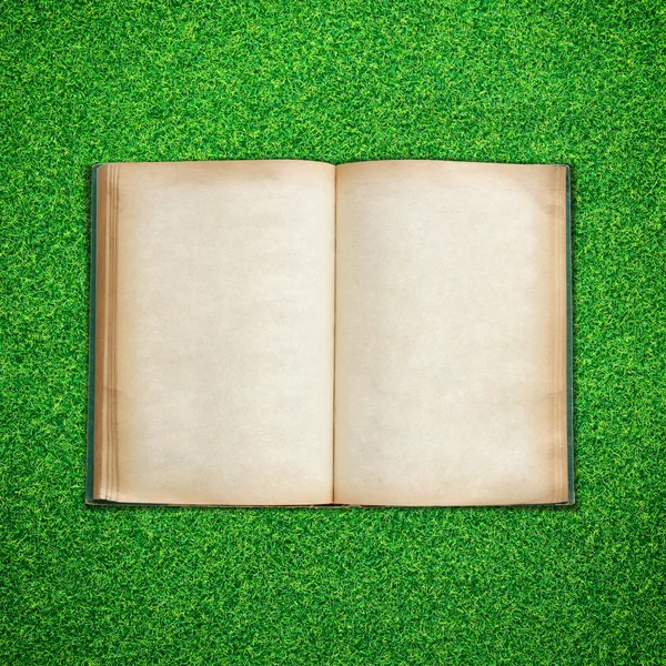 緑の草の背景に古い本を広げる — ストック写真