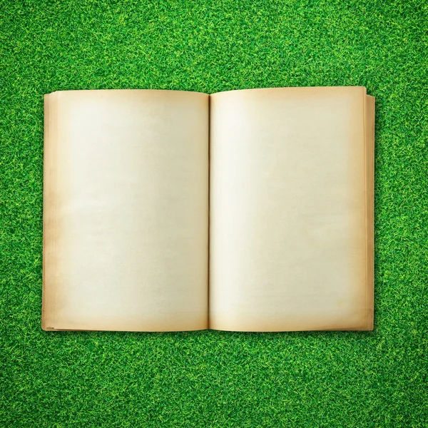 Старая книга открыта на зеленом фоне травы — стоковое фото