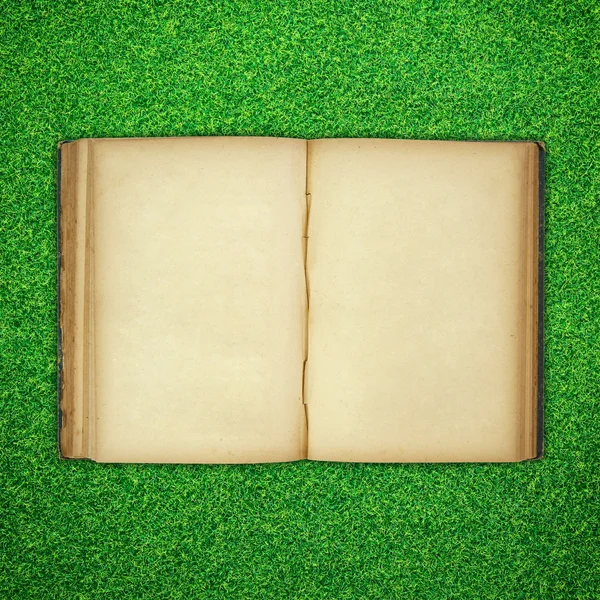 Old book open on green grass background — Stock Photo, Image