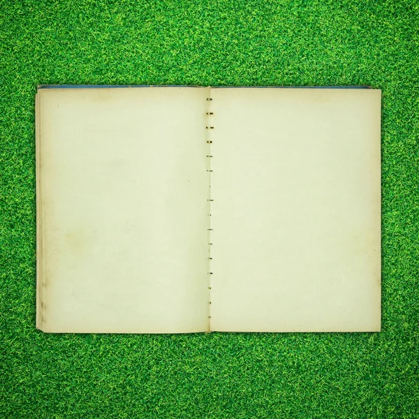 Vieux livre ouvert sur fond d'herbe verte — Photo