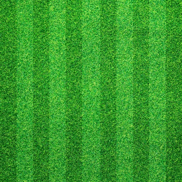 Fundo de grama verde — Fotografia de Stock