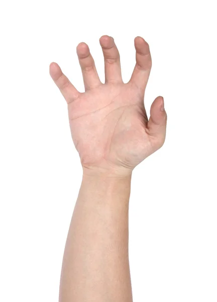 Kézjel elszigetelt fehér háttér — Stock Fotó