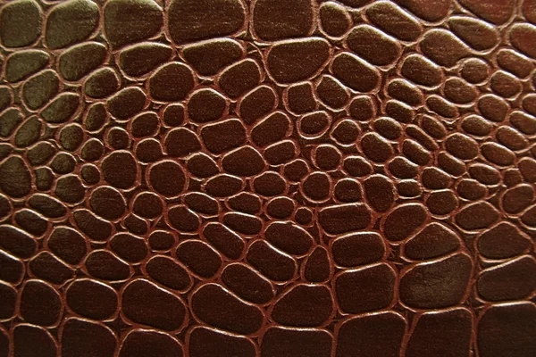 Texture leather — Stock Photo, Image
