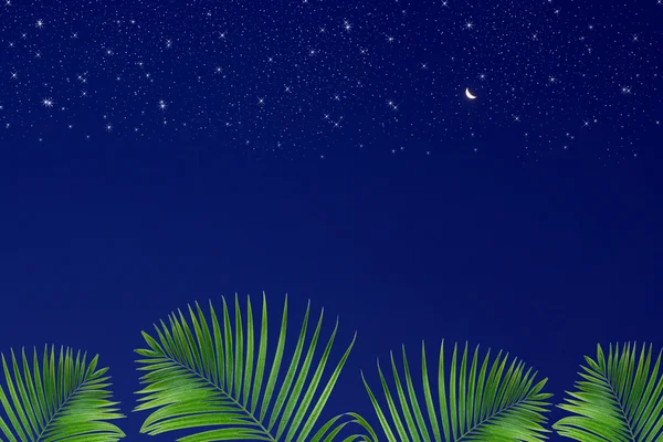 Leaves on Stars in the night sky background — Stock Photo, Image