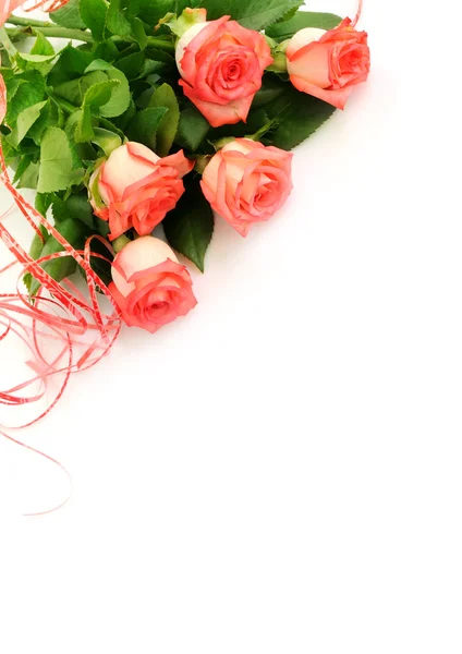 Achtergrond met mooie roos — Stockfoto
