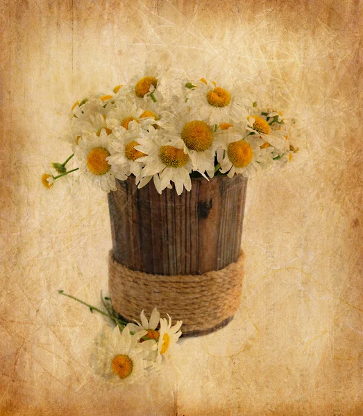Bukett av daisy i vintage stil — Stockfoto