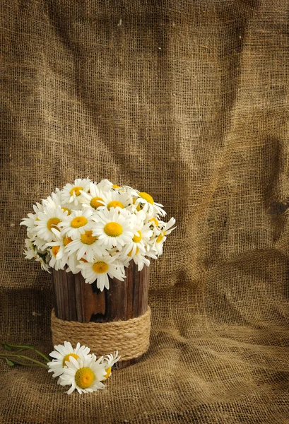 Rustic daisy bouquet in vintage style with background for text — Stock Photo, Image